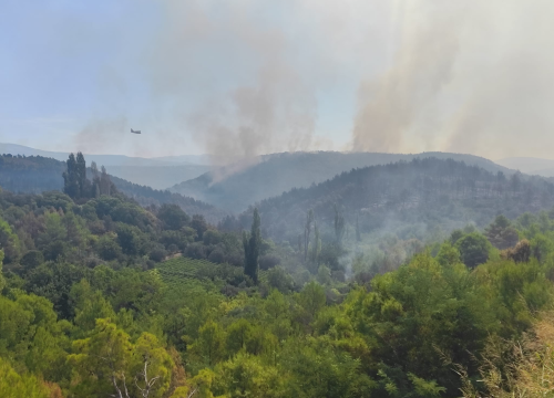 Fotografija 3 - Vodički vatrogasci, nakon pet dana na požarištu, spasili mladog sokola