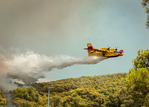Fotografija 32 - Požar i dalje aktivan, no pod kontrolom je vatrogasaca: Izgorjela je površina od oko 3,5 hektara