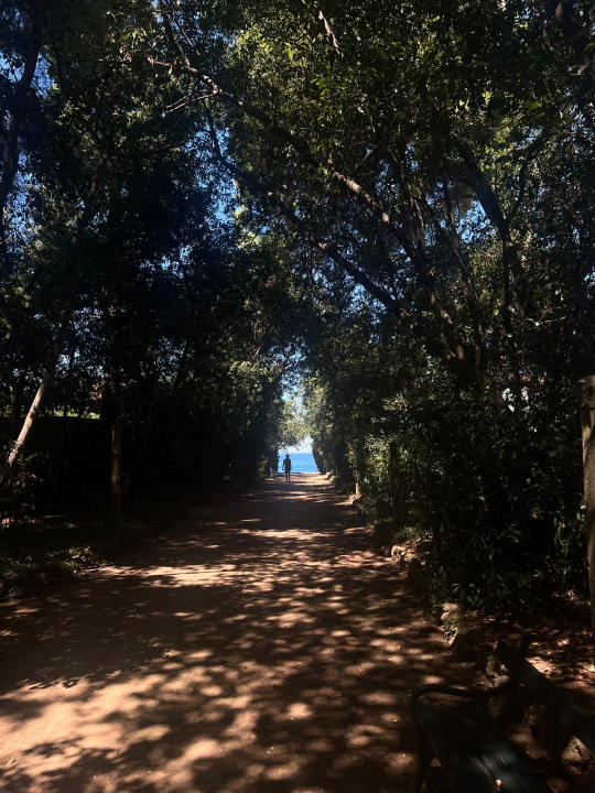 Morska avantura  ŠibenikIN-a: Tjedan dana jedrenja do Dubrovnika, prekrasnih otoka i vala uz nezaboravnu igru dupina