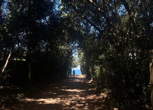 Fotografija 6 - Morska avantura  ŠibenikIN-a: Tjedan dana jedrenja do Dubrovnika, prekrasnih otoka i vala uz nezaboravnu igru dupina