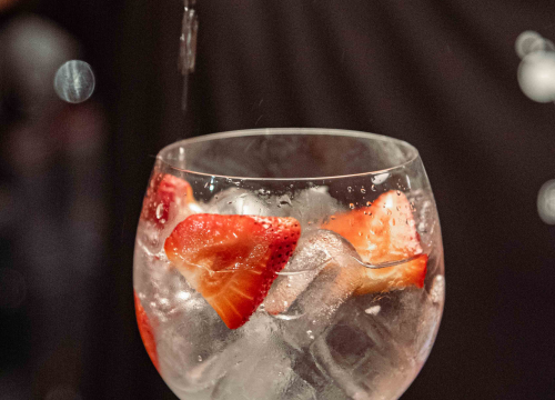 Fotografija 24 - Rashladite se osvježavajućim pićima Ginfinity Bara!