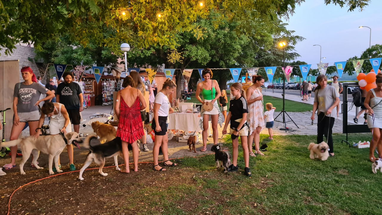Šibenske šape organiziraju tradicionalni rođendanski party, povedite svog četveronošca