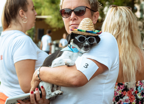 Šibenske šape rođendan proslavile izložbom pasa, tombolom i kvizom