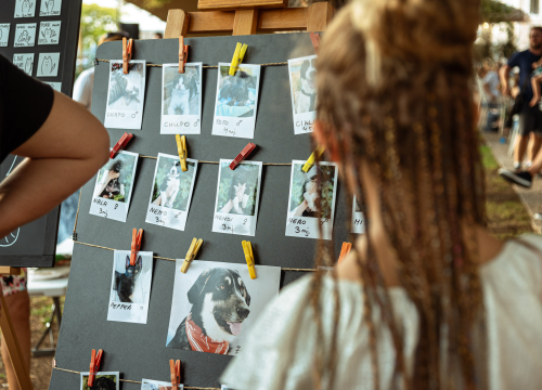 Fotografija 20 - Šibenske šape rođendan proslavile izložbom pasa, tombolom i kvizom