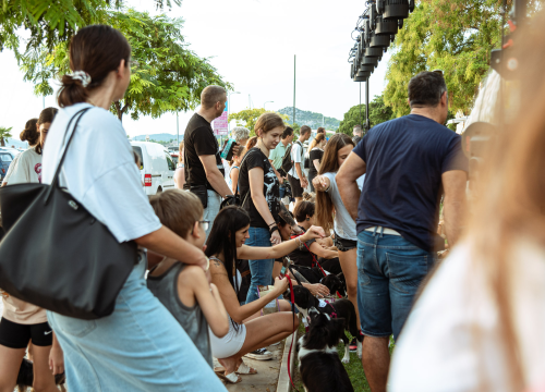 Fotografija 21 - Šibenske šape rođendan proslavile izložbom pasa, tombolom i kvizom