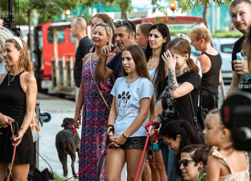 Fotografija 23 - Šibenske šape rođendan proslavile izložbom pasa, tombolom i kvizom