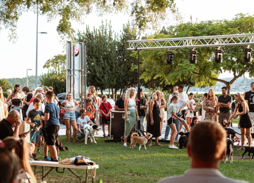Fotografija 34 - Šibenske šape rođendan proslavile izložbom pasa, tombolom i kvizom