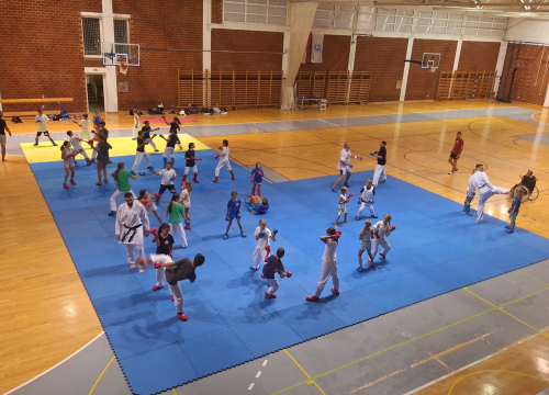 Prvi karate i parakarate kamp održan u Murteru: 'Nadamo se da je ovo tek početak jedne nove tradicije'