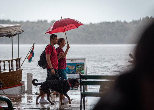Postupno naoblačenje i mjestimična kiša