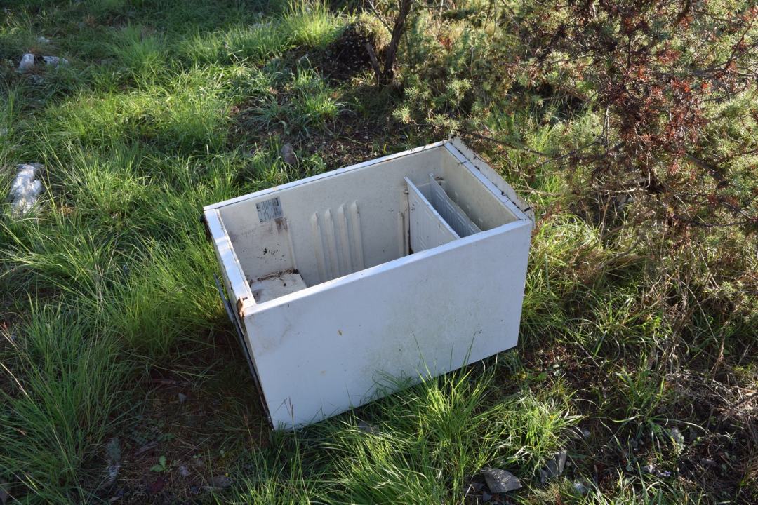 NP Krka sudjelovao u globalnom eko-projektu Zelena čistka