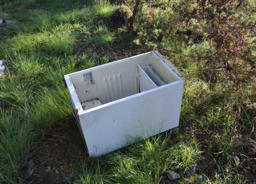 Fotografija 7 - NP Krka sudjelovao u globalnom eko-projektu Zelena čistka