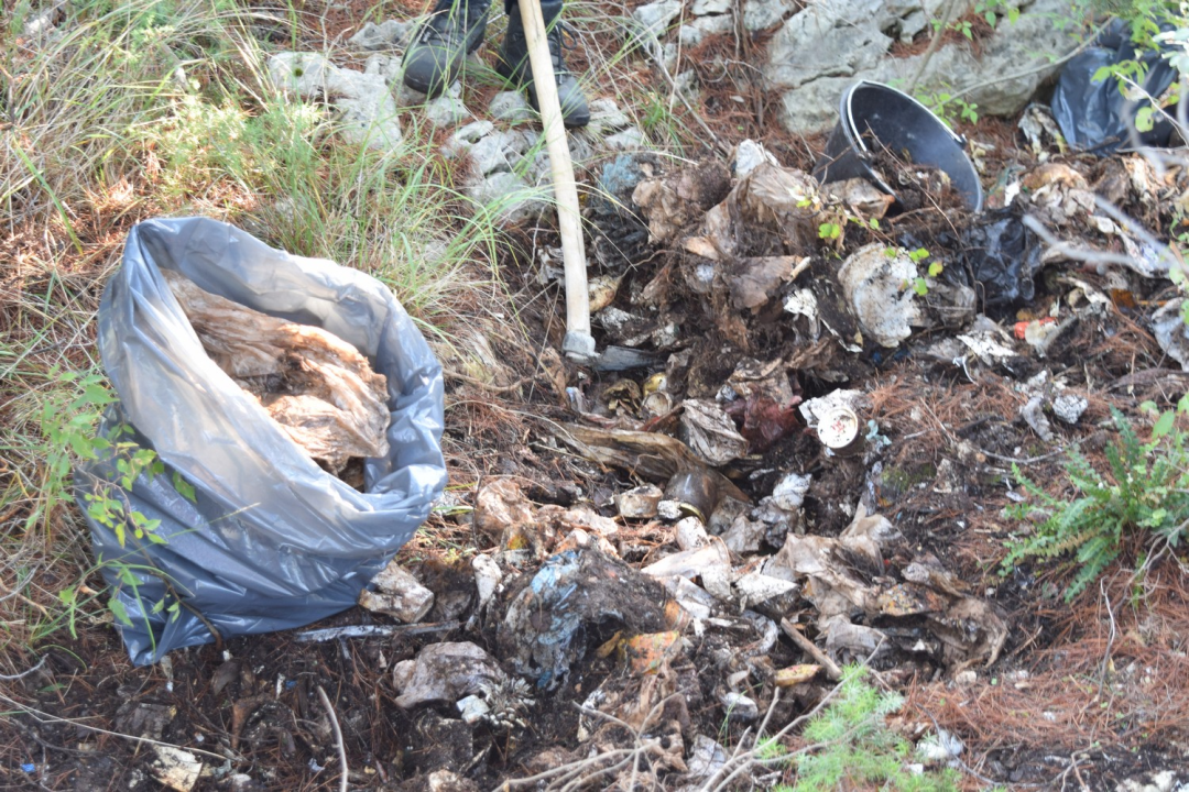 NP Krka sudjelovao u globalnom eko-projektu Zelena čistka