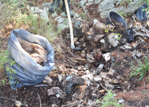 Fotografija 5 - NP Krka sudjelovao u globalnom eko-projektu Zelena čistka