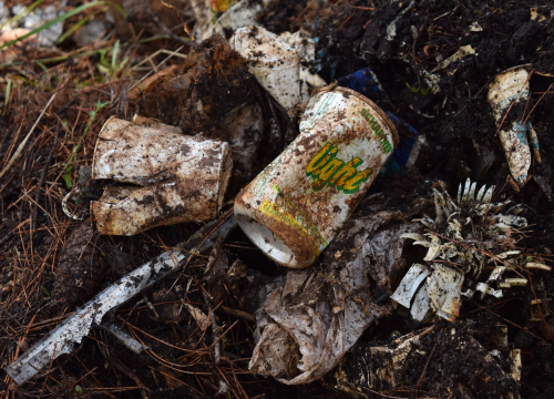 Fotografija 3 - NP Krka sudjelovao u globalnom eko-projektu Zelena čistka