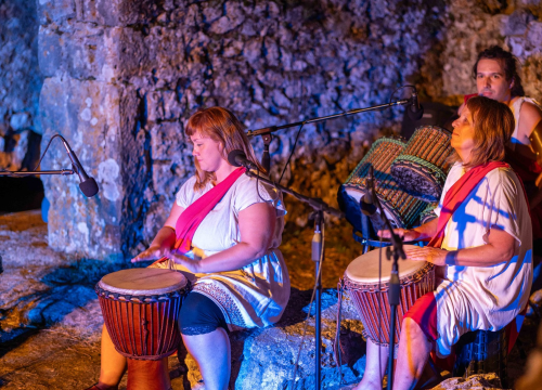 Fotografija 22 - Vodičke Bakanalije: Nezaboravni povijesni spektakl još jednom oduševio brojne posjetitelje
