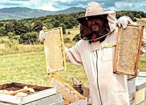 Krešimir je inženjer, ali i pčelar kojemu je hobi postao posao: 'U ovome ne smije biti matematičke računice'
