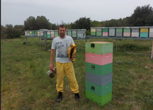 Fotografija 7 - Krešimir je inženjer, ali i pčelar kojemu je hobi postao posao: 'U ovome ne smije biti matematičke računice'