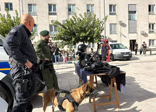 Fotografija 14 - U punoj spremi održana smotra operativnih snaga civilne zaštite Grada Drniša