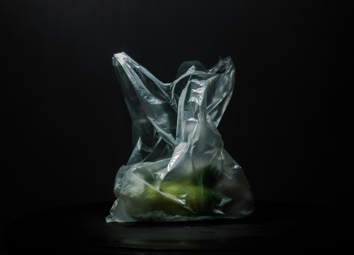 Susjedna država zabranila korištenje plastičnih vrećica