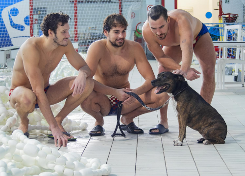 Fotografija 5 - Barakude zagrlile štence i bakicu Alfu u kampanji za spas doma napuštenih pasa