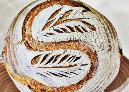 Fotografija 3 - Šibenčanka Sanja maherica je za sourdough kruh, a njezin starter Špiro ide s njom i na putovanja
