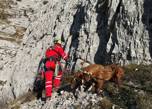 Fotografija 8 - Šibenski HGSS-ovci spasili dva lovačka psa na surovom terenu Dinare