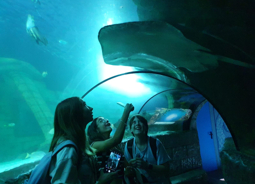 Fotografija 4 - Od Šibenika do Porta: Četvero učenika OŠ Juraj Šižgorić otputovalo u Portugal