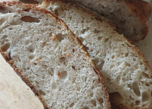 Fotografija 6 - Recept za sourdough kruh Sanje Antunac od durum pšenice