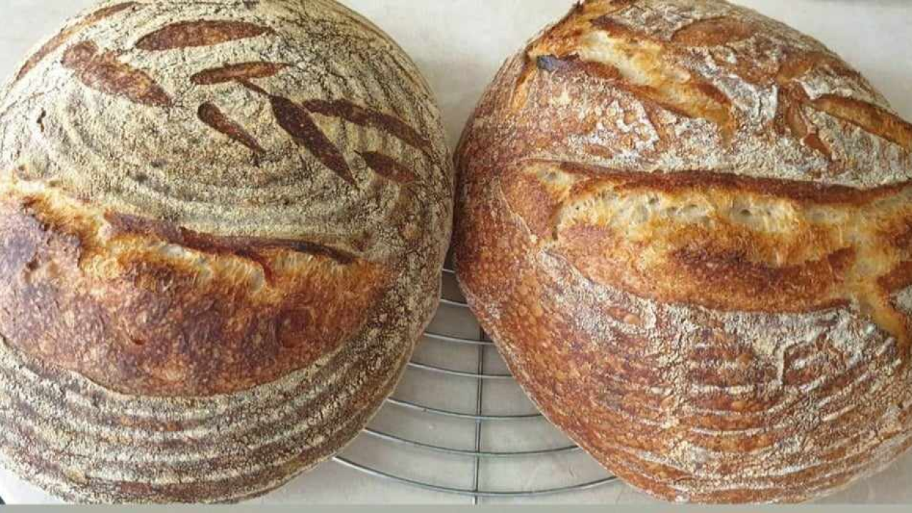 Recept za sourdough kruh Sanje Antunac od durum pšenice