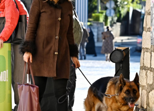 Fotografija 19 - FOTO Đir po gradu, subota 7. prosinca