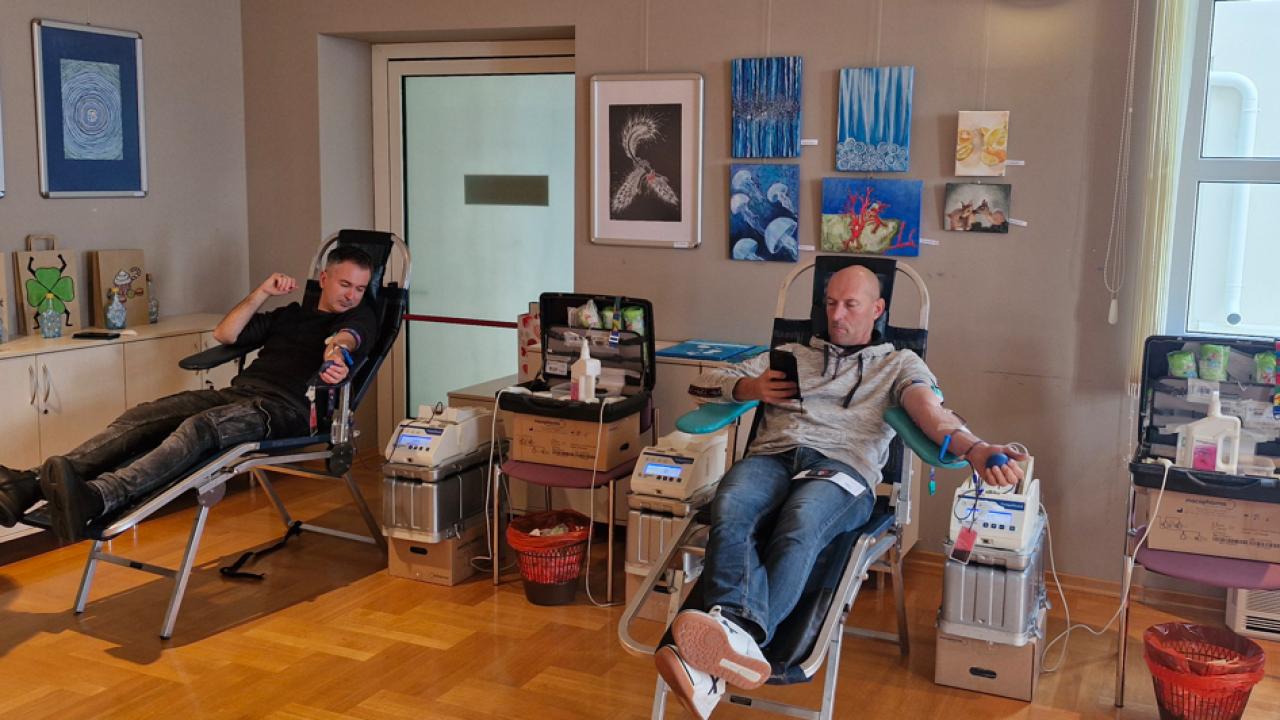 Iz vodičkog Crvenog križa zahvaljuju: Prikupljene 63 doze, 11 novih osoba u registru donatora matičnih stanica