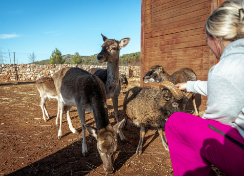 Fotografija 5 - Jelena, Nina i Srećko oduševe svakoga tko posjeti Happy Horse u Dubravi