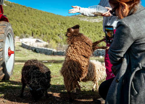 Fotografija 6 - Jelena, Nina i Srećko oduševe svakoga tko posjeti Happy Horse u Dubravi