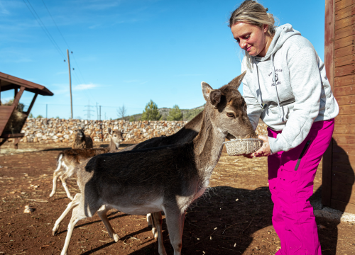 Fotografija 7 - Jelena, Nina i Srećko oduševe svakoga tko posjeti Happy Horse u Dubravi