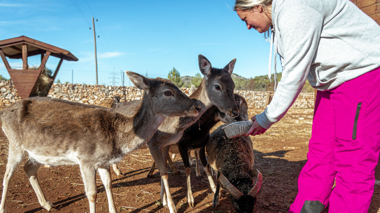 Jelena, Nina i Srećko oduševe svakoga tko posjeti Happy Horse u Dubravi