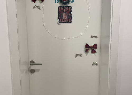 Fotografija 3 - U studentskom domu Palacin nagrađena najljepše uređena vrata