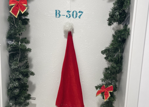 Fotografija 10 - U studentskom domu Palacin nagrađena najljepše uređena vrata