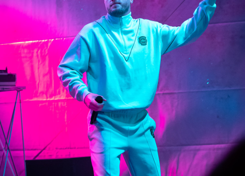 Fotografija 15 - Grše napunio park, a bura nije omela Šibenčane da uglas pjevaju njegove najveće hitove