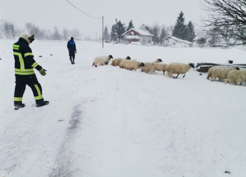 Fotografija 7 -  U Lici iz snježne oluje spašeno 48 ljudi