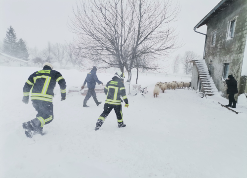 Fotografija 9 -  U Lici iz snježne oluje spašeno 48 ljudi