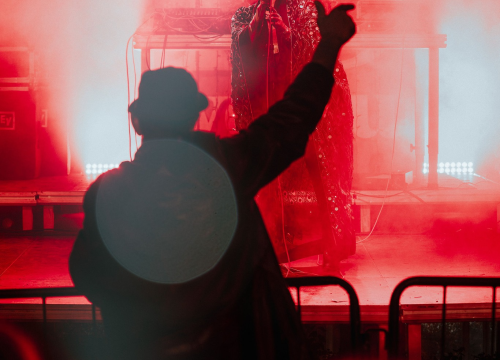 Fotografija 21 - Maskirani Nipplepeople rasplesali sinoć Šibenačane u parku