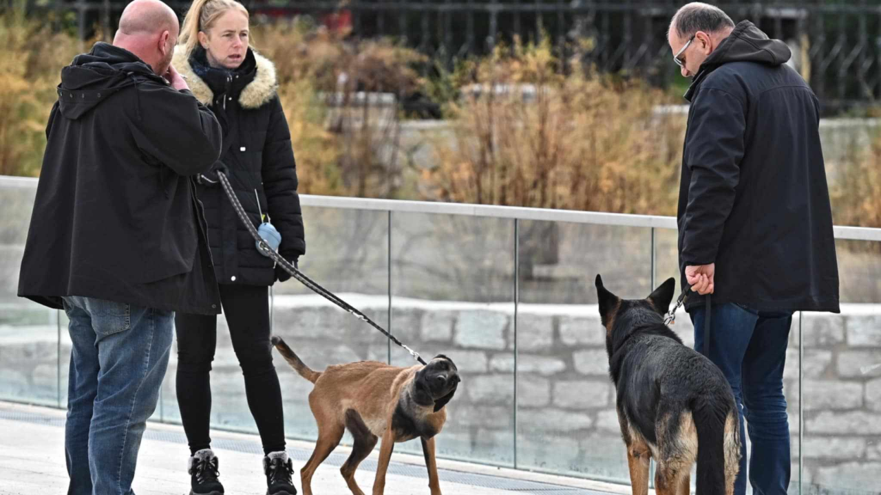 FOTO Đir po gradu, nedjelja 5. siječnja