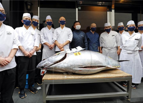 Tuna na prvoj aukciji ove godine dosegla cijenu od 1,3 milijuna dolara