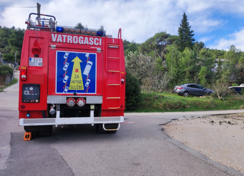 Fotografija 3 - Bilički vatrogasci uklanjali stablo s prometnice