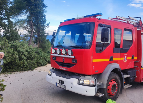 Fotografija 2 - Bilički vatrogasci uklanjali stablo s prometnice