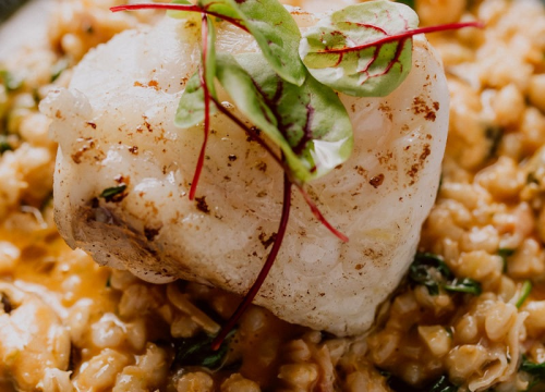 Fotografija 38 - Foto Bistro Kod Starog: Savršen bijeg od zime u ugodnom ambijentu