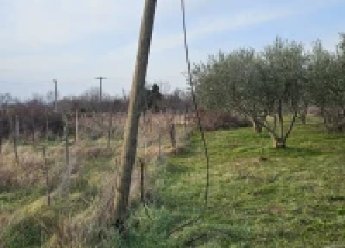 Fotografija 2 -  Bačići godinu dana bez interneta: ‘Kod nas će nas prije udariti grom nego doći operater’