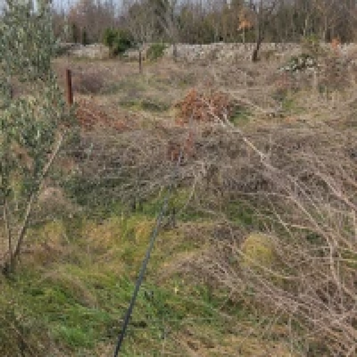 Bačići godinu dana bez interneta: ‘Kod nas će nas prije udariti grom nego doći operater’