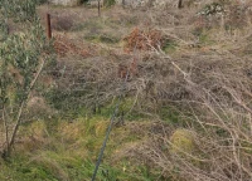 Fotografija 3 -  Bačići godinu dana bez interneta: ‘Kod nas će nas prije udariti grom nego doći operater’