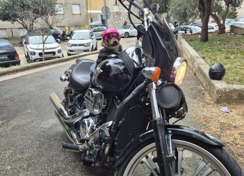 Fotografija 3 - Bajkerica Rea šibenska je atrakcija